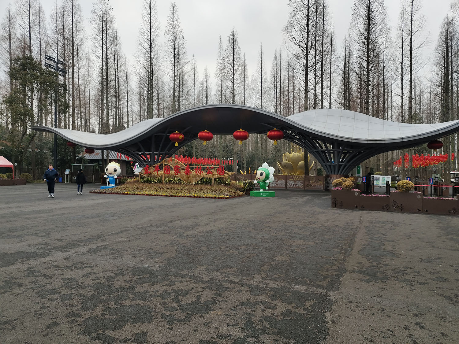 游东平国家森林公园，空荡荡木有人