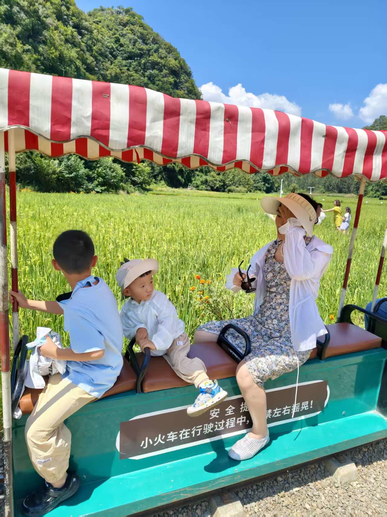 稻田里的小火车
